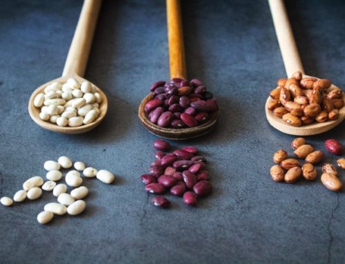THE HISTORY OF BEANS