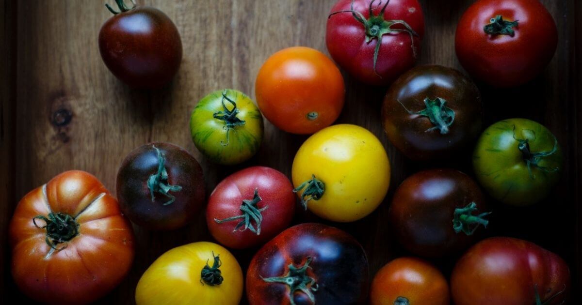 facts about tomatoes