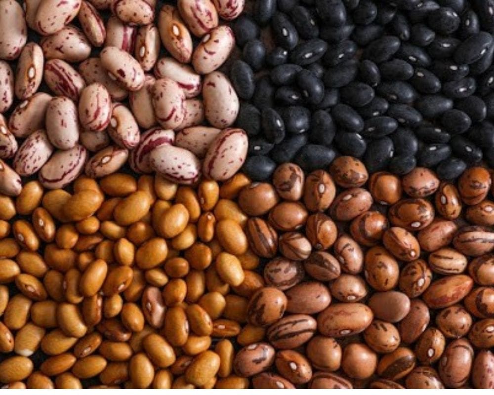 Facts About Beans