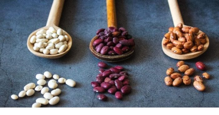 amazing-historical-facts-of-beans-you-should-know-soups-junction